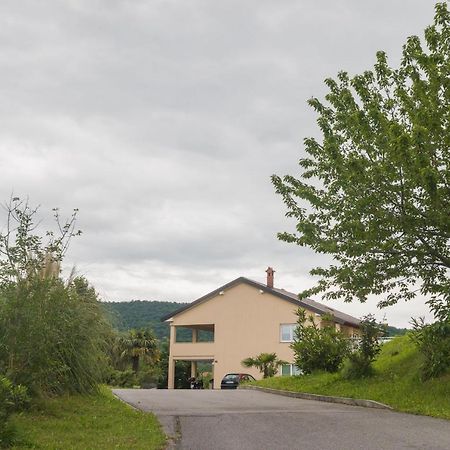 Studio Elli Koper Exteriér fotografie
